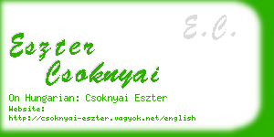 eszter csoknyai business card